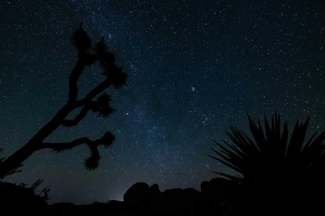 Things to do in Joshua Tree National Park