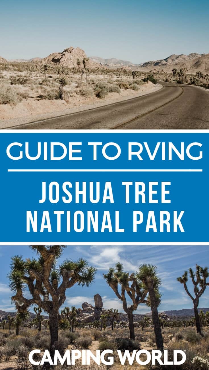 If you get into a conversation with a group of RVers on which national park is their favorite, it won’t take long until someone claims Joshua Tree National Park. It’s truly a camper’s paradise with its wide open space and panoramic views. Check out this ultimate guide to RVing Joshua Tree National Park and plan your RV vacation! #nationalpark #joshuatree #rving #rvlife #camper #camping #camperlife #happycamper 