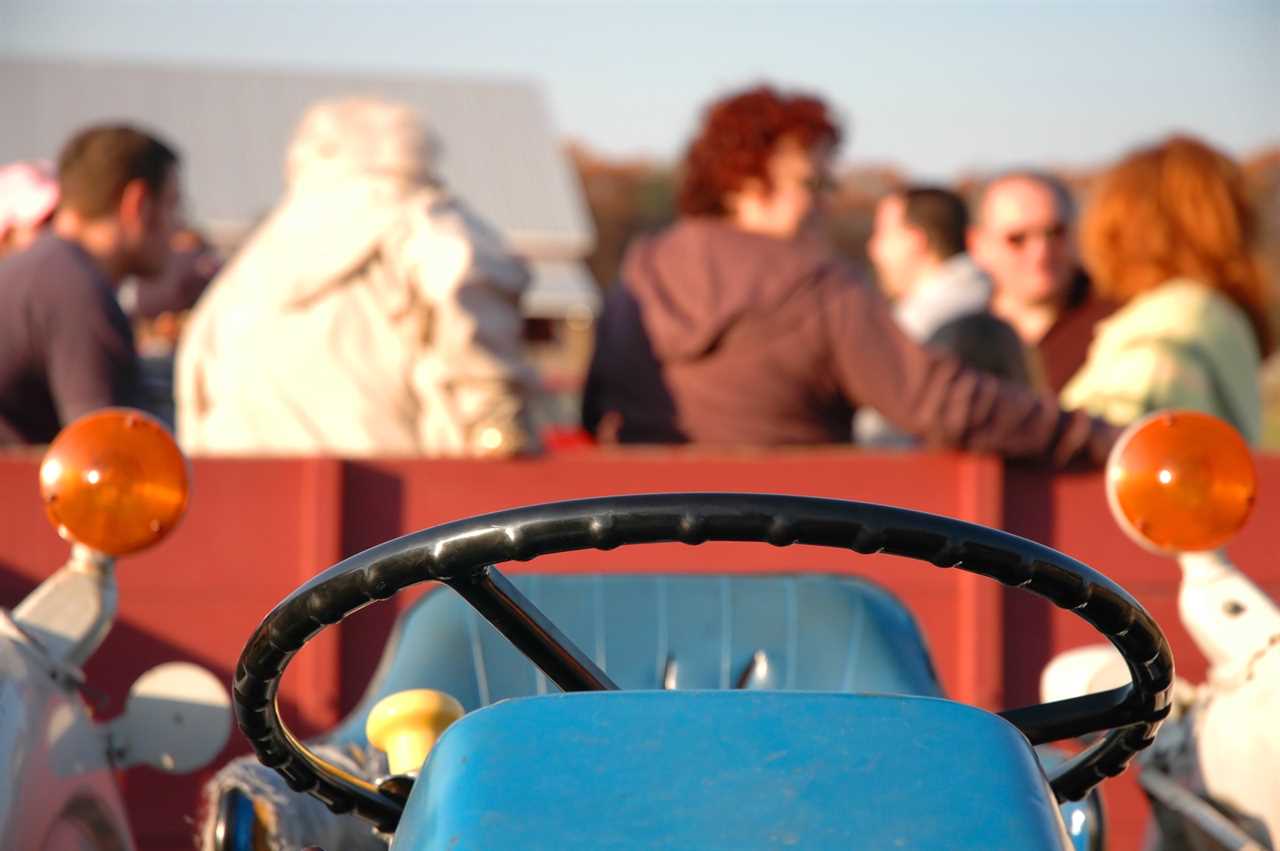 A group of people on a hayride.