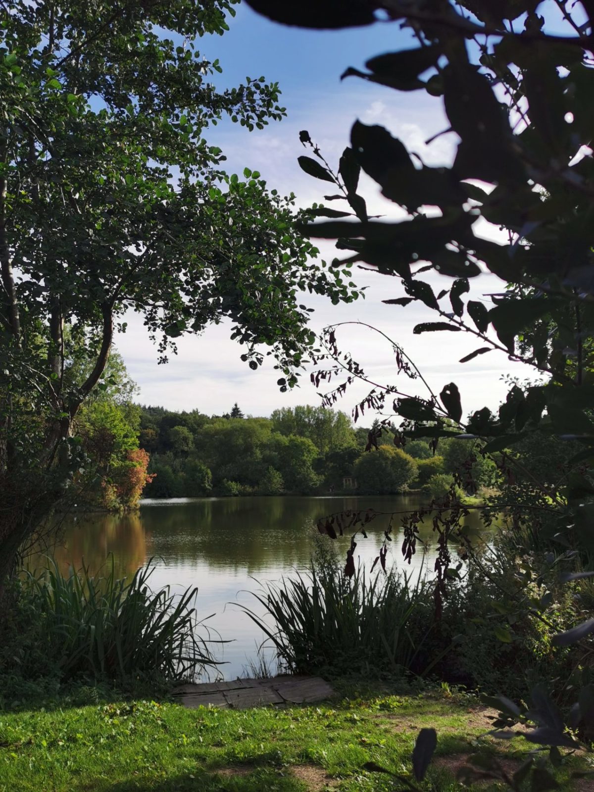 Church Stretton Camp and Fish