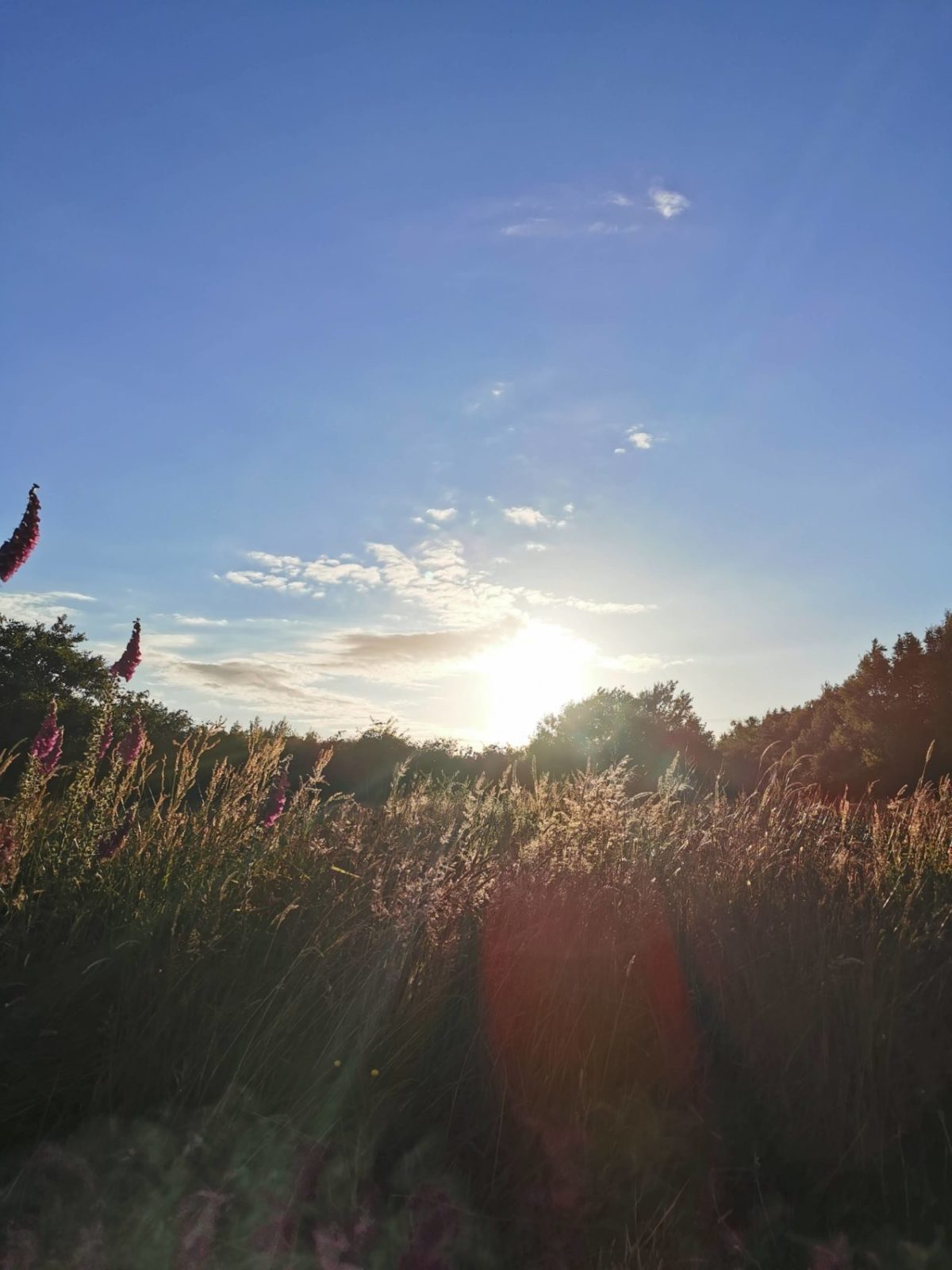 Sunset at Cae Lal Camping & Glamping 