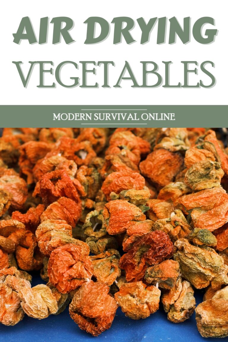 air drying vegetables pinterest