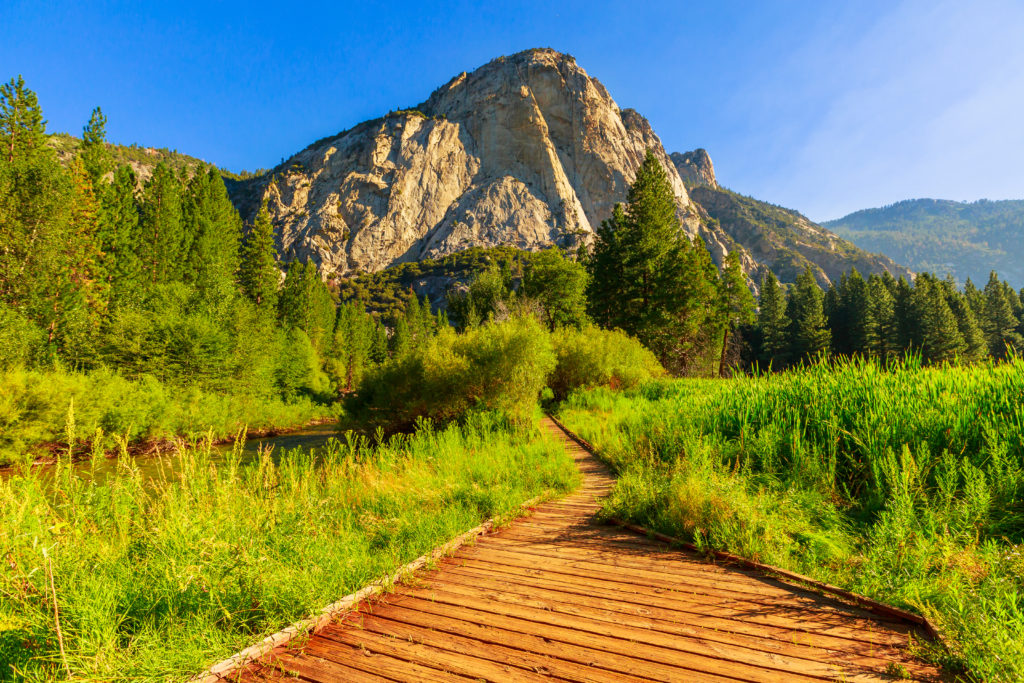 Zumwalt Meadow in Kings Canyon National Park