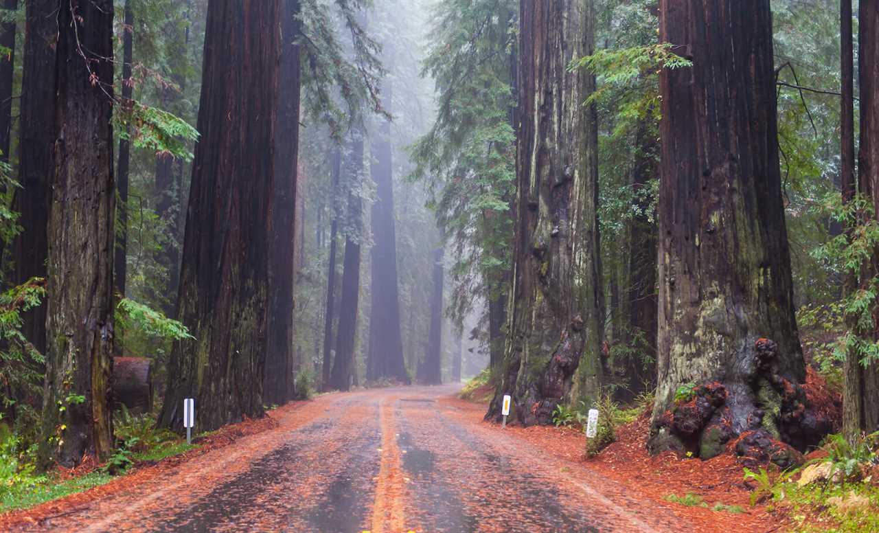 fall-rving-redwood-national-park-10-2022 