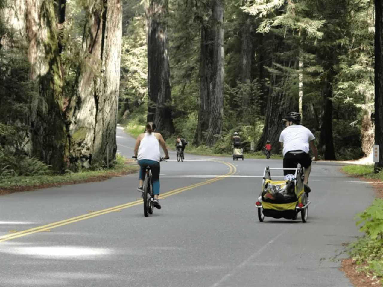 biking-rving-redwood-national-park-10-2022 