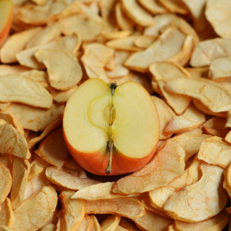 dried apple slices