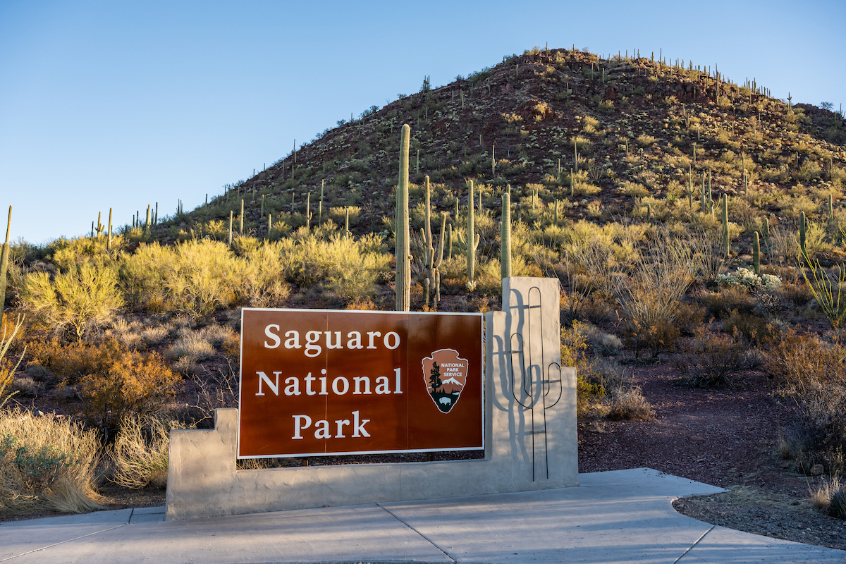 Saguaro National Park