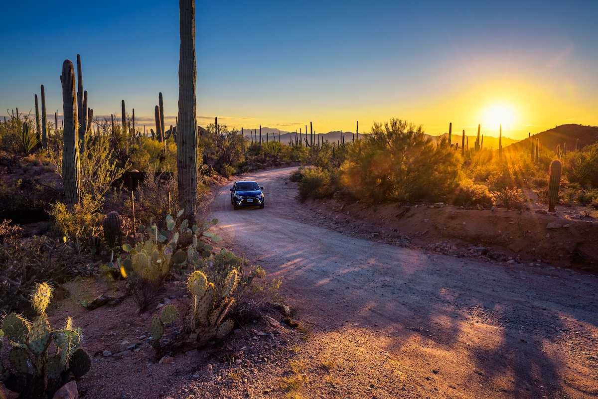 Saguaro National Park