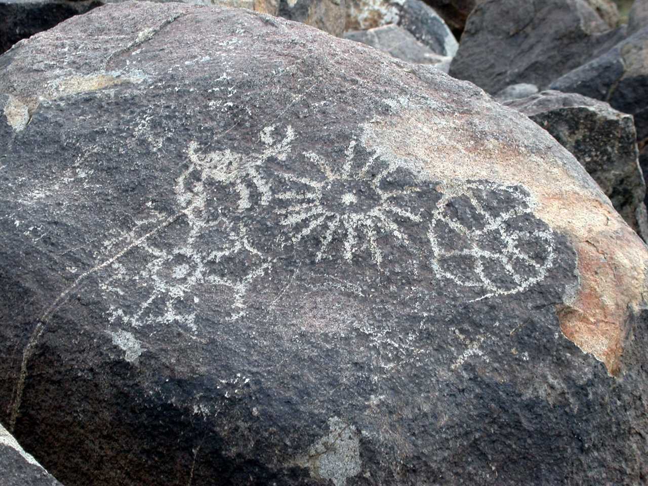 Signal Hill Petroglyph Area Sagauro National Park