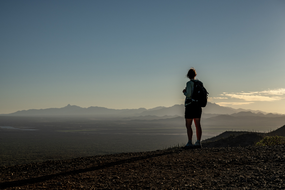 Saguaro National Park