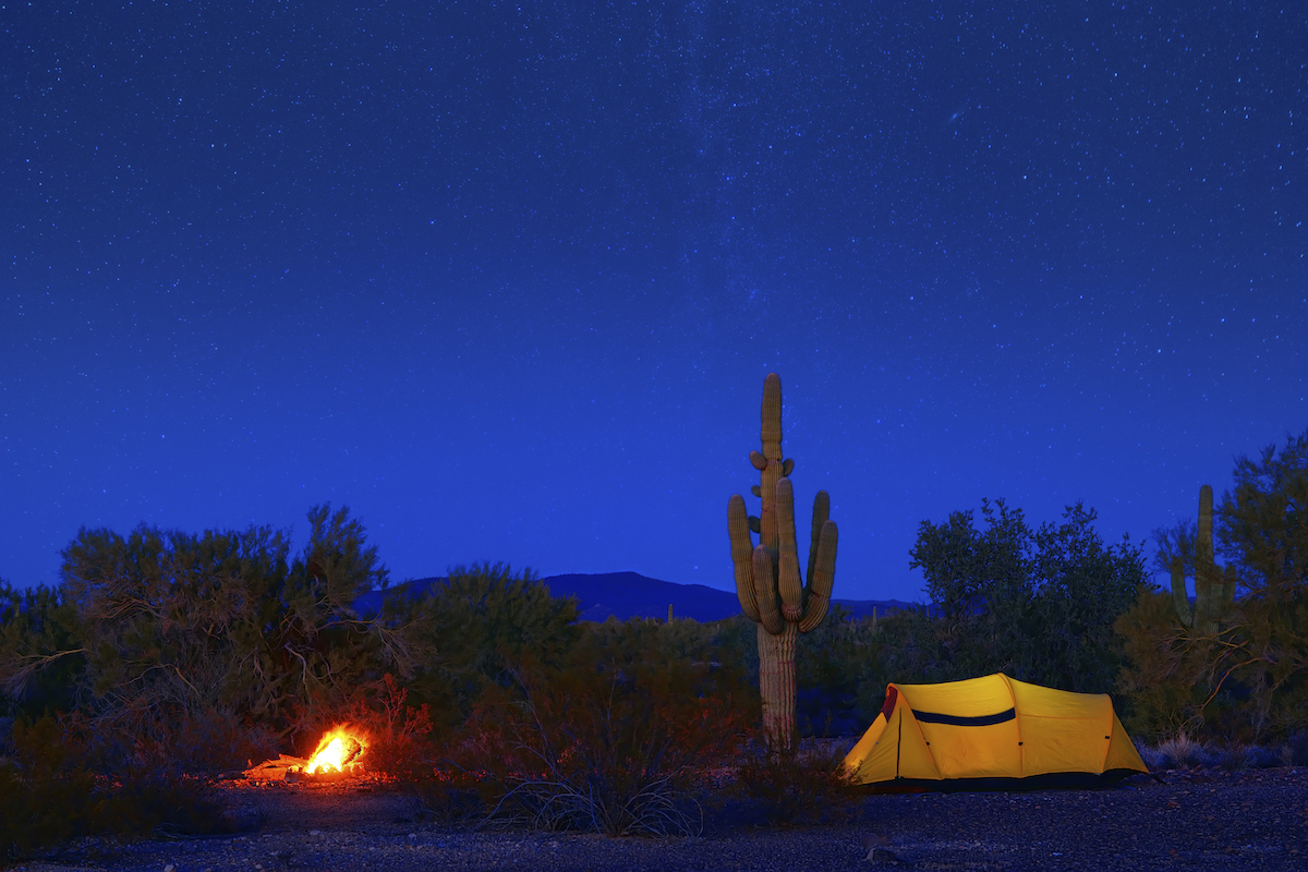 Saguaro National Park