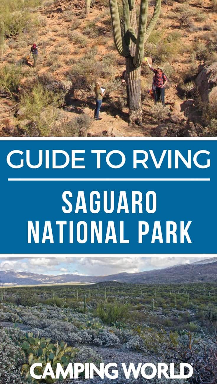 Camping World's Guide to Saguaro National Park