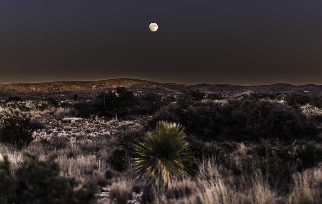 A moonlit landscape of rugged desert.