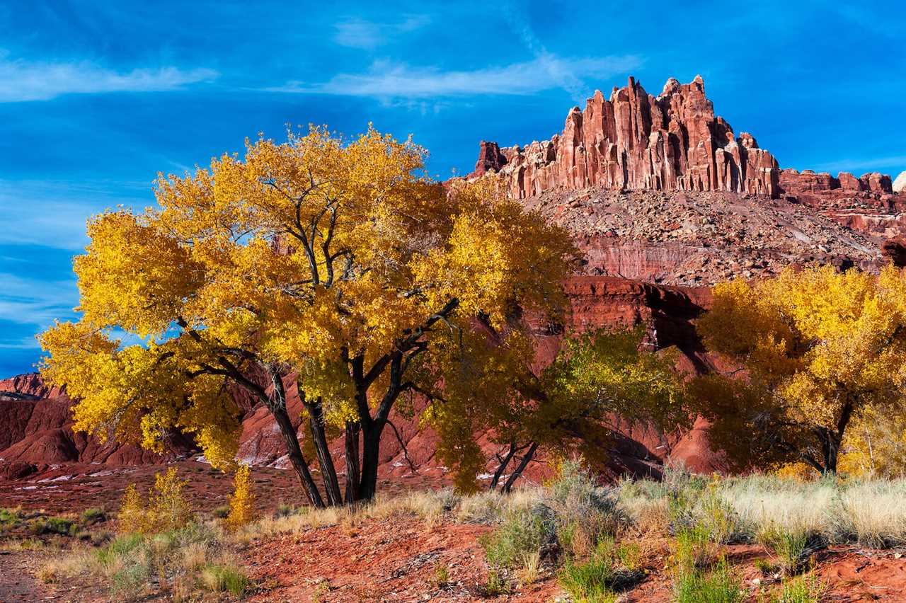 fall-guide-to-rving-capitol-reef-national-park-10-2022 