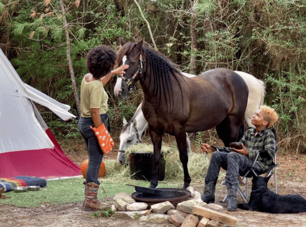 horse camping by fireside