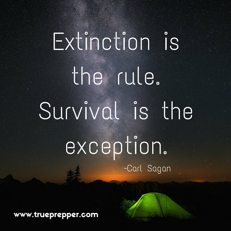 Extinction is the rule. Survival is the exception. - Carl Sagan