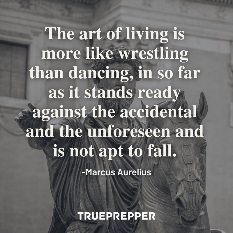 The art of living is more like wrestling than dancing, in so far as it stands ready against the accidental and the unforeseen and is not apt to fall. - Marcus Aurelius