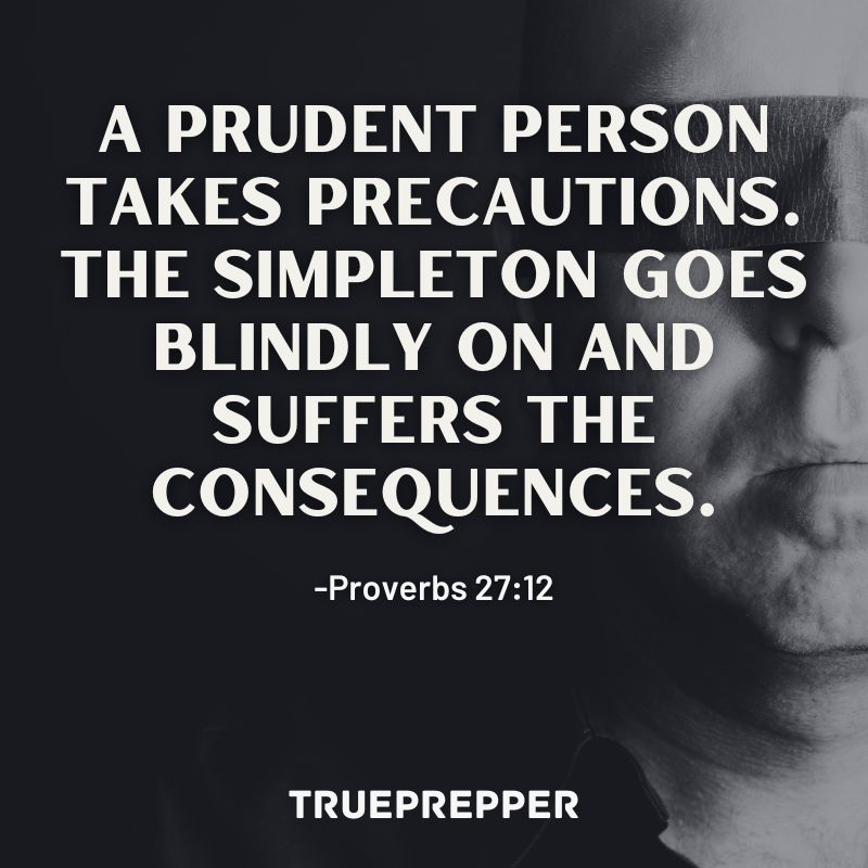 A prudent person takes precautions. The simpleton goes blindly on and suffers the consequences. - Proverbs 27:12