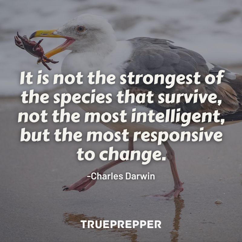 It is not the strongest of the species that survive, not  the most intelligent, but the most responsive to change. - Charles Darwin