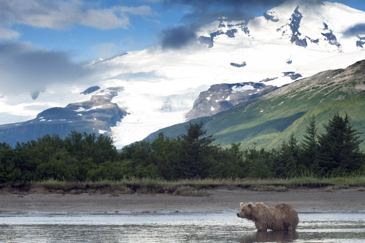 katmai national park