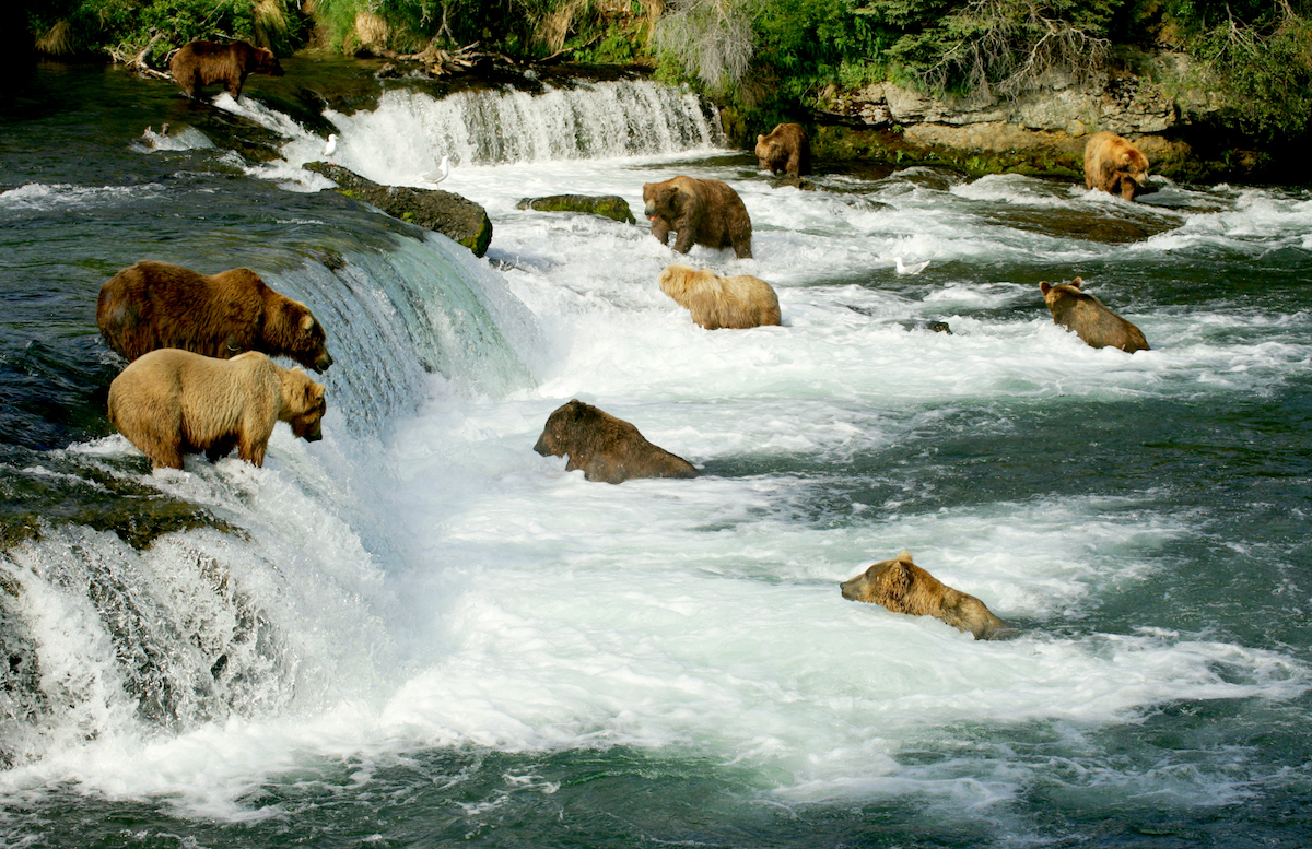 Katmai National Park