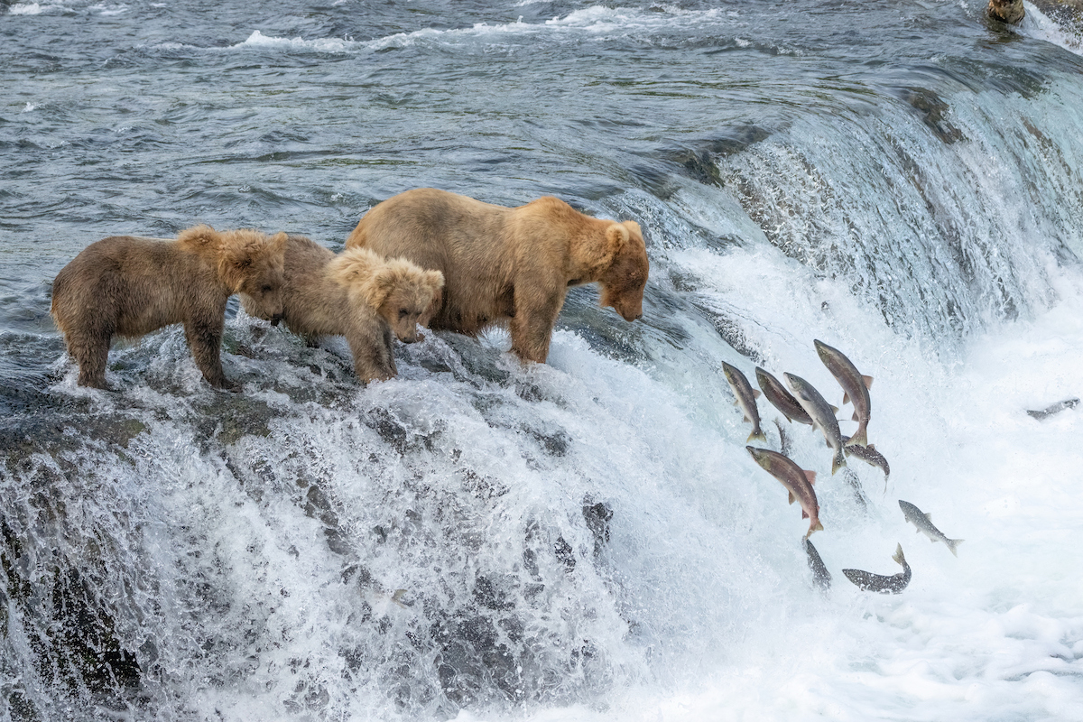 Katmai National Park