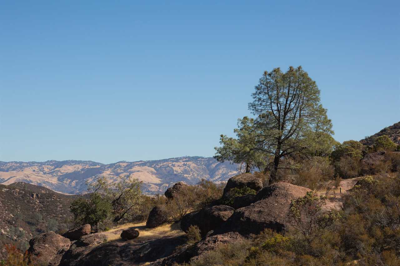 fall-guide-to-rving-pinnacles-national-park-10-2022 