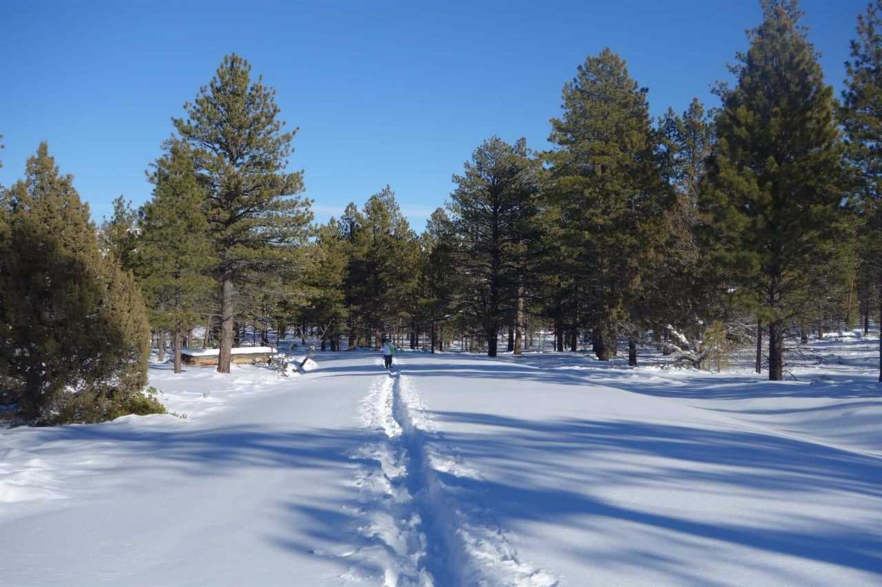 snowshoe-guide-to-rving-bryce-canyon-national-park-11-2022 