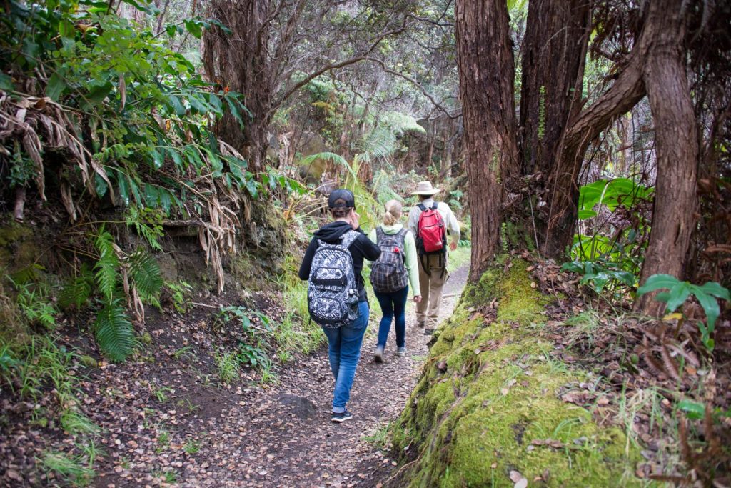 Photo Tripping America - Hawaii Volcanoes - Camping World