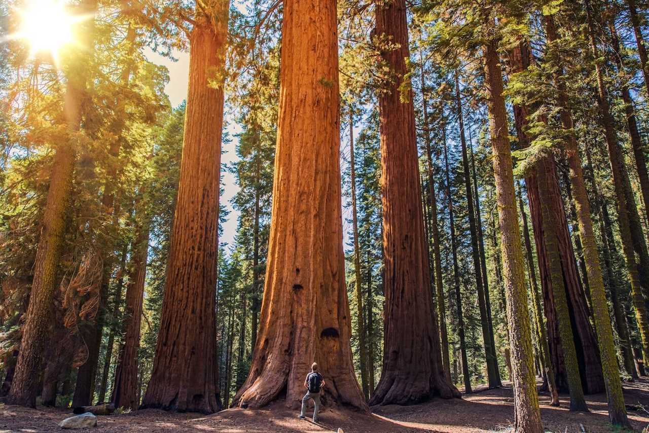 why-visit-guide-to-rving-sequoia-national-park-11-2022 