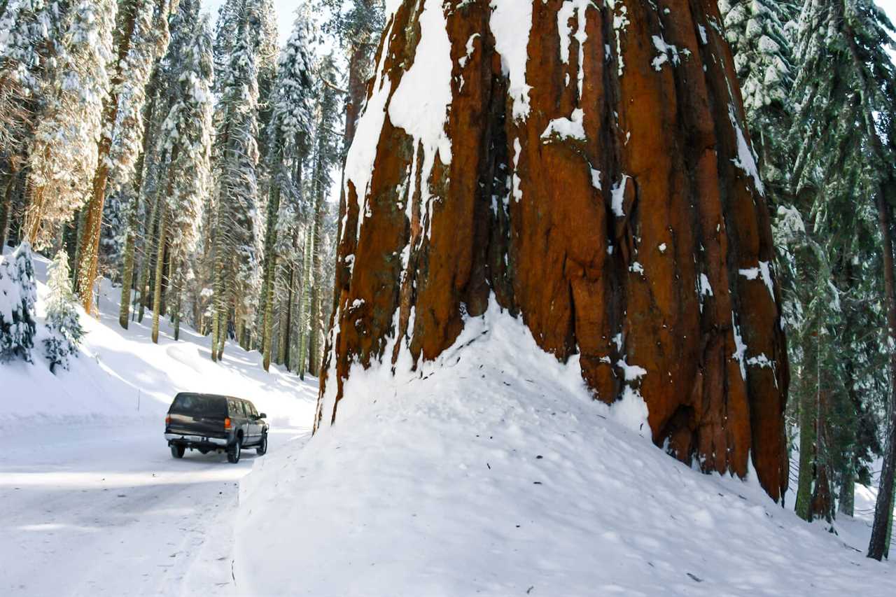 winter-guide-to-rving-sequoia-national-park-11-2022 