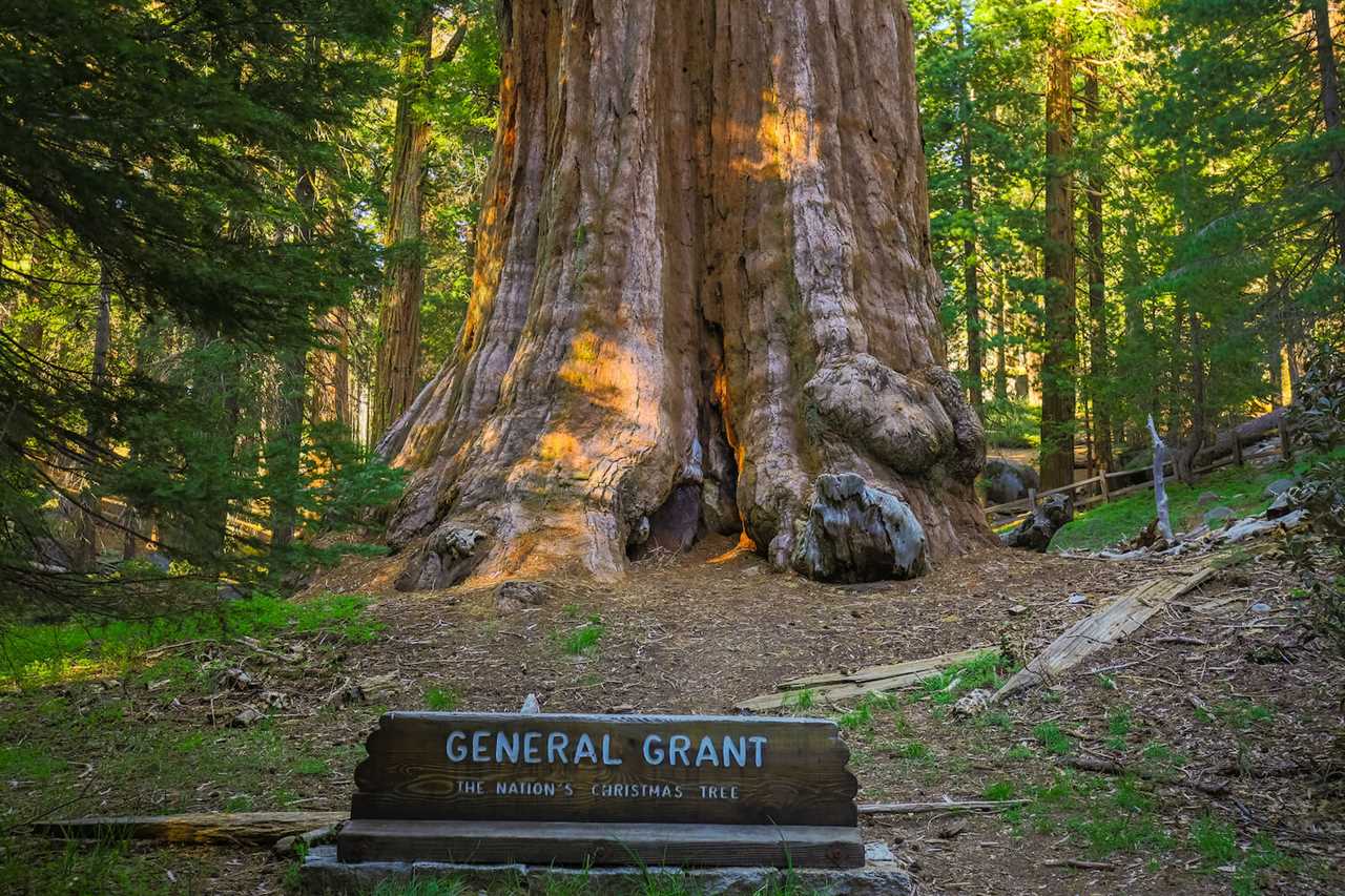 grant-tree-guide-to-rving-sequoia-national-park-11-2022 