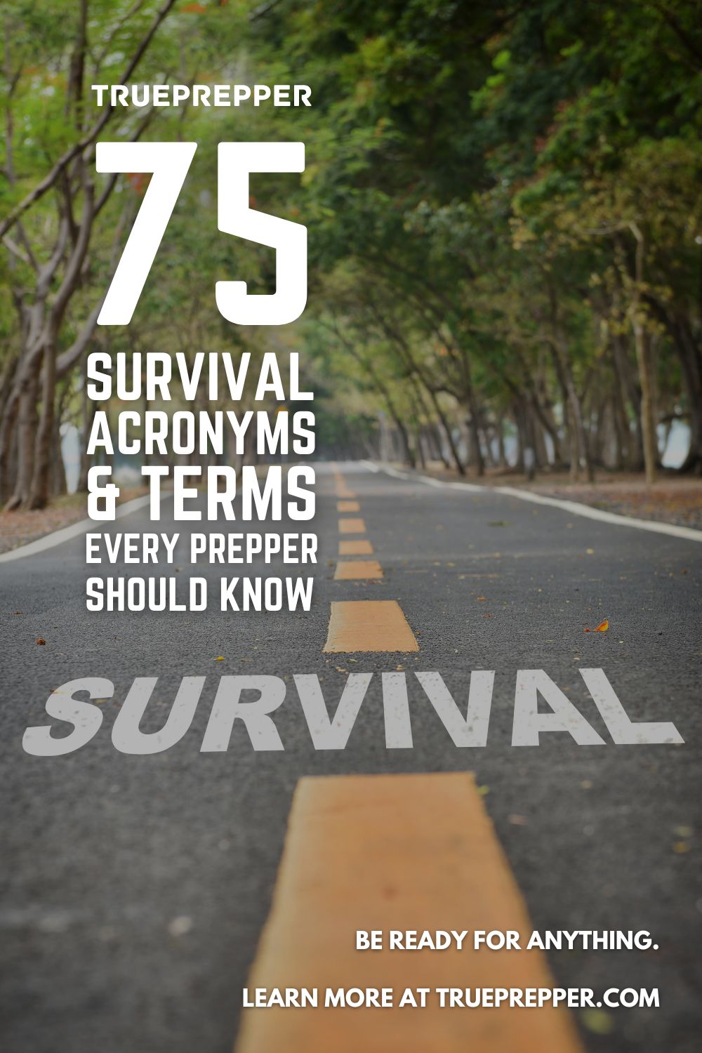 75 Survival Acronyms and Terms Every Prepper Should Know