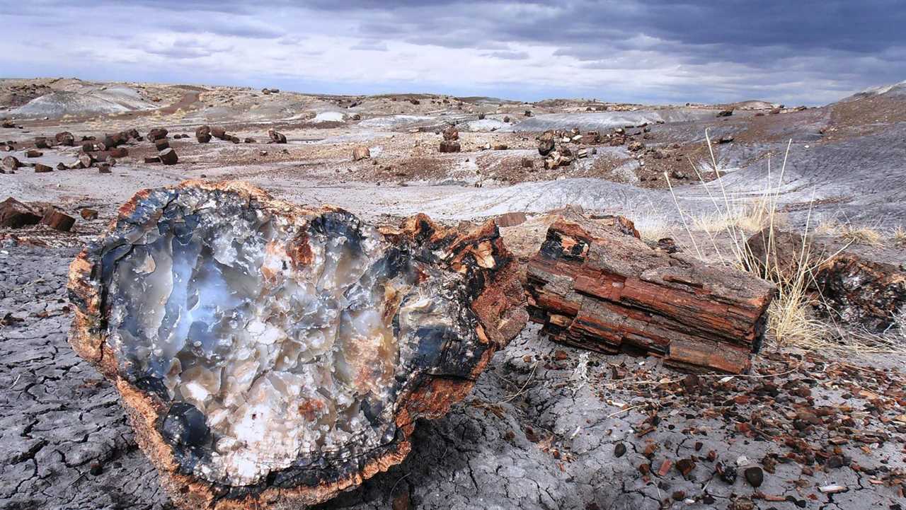 Photo Tripping America - Petrified Forest - Camping World