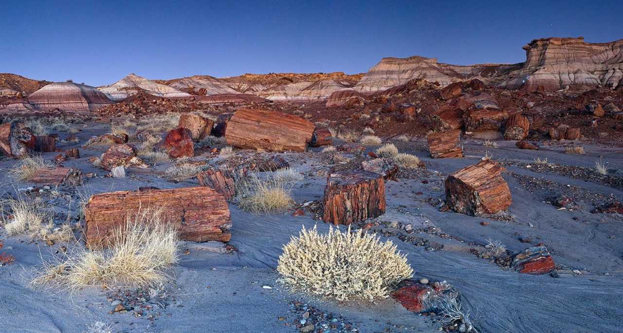 Photo Tripping America - Petrified Forest - Camping World