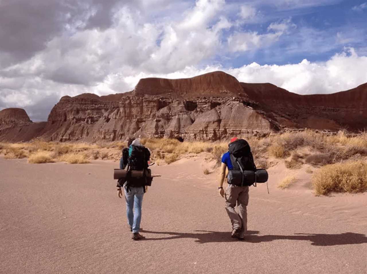 backpacking-guide-to-rving-petrified-forest-national-park-11-2022 