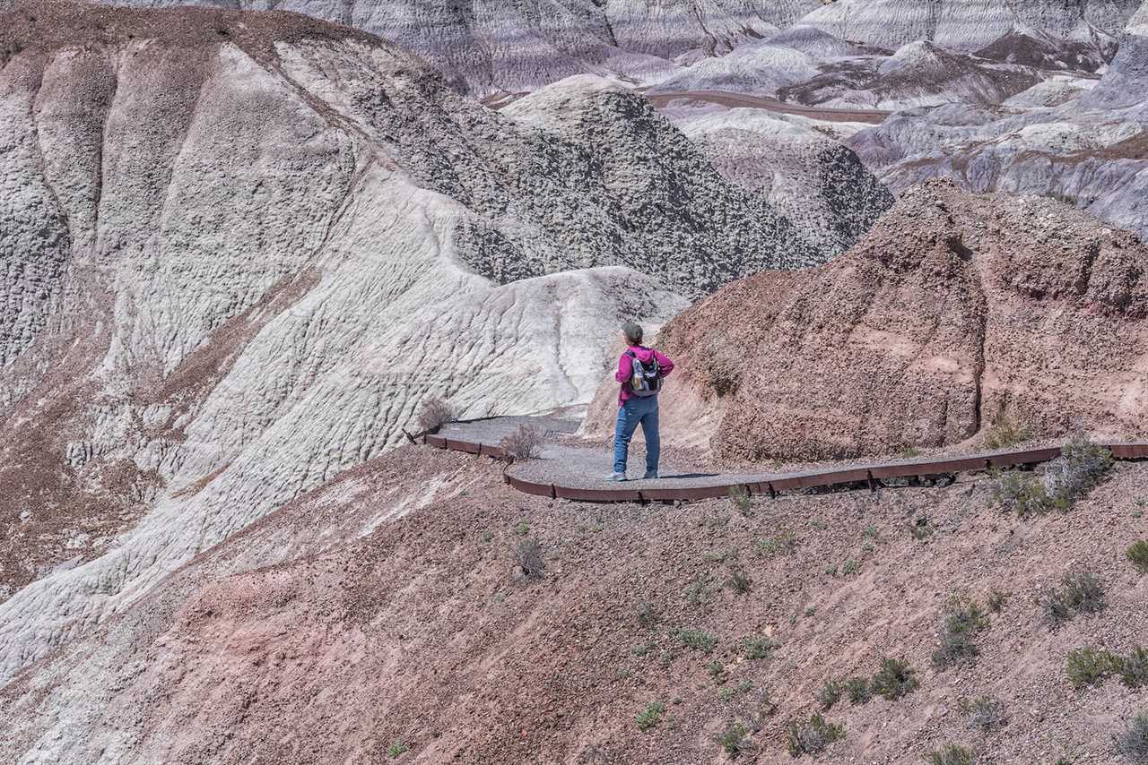 prepare-guide-to-rving-petrified-forest-national-park-11-2022 