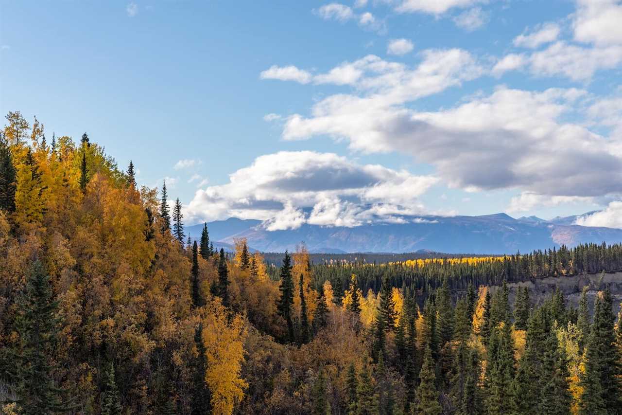 fall-guide-to-rving-wrangell-st-elias-national-park-12-2022 
