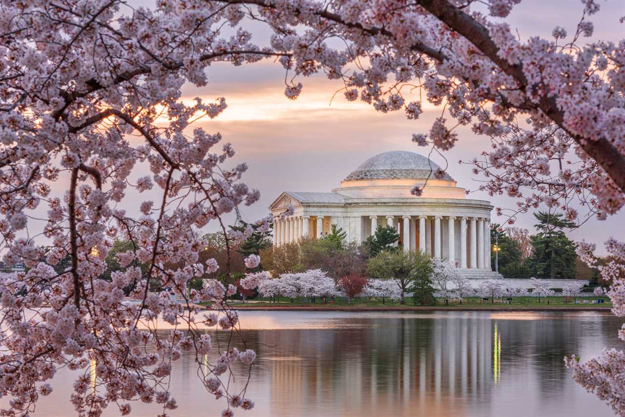 Washington DC, USA at the Jefferson Memorial and Tidal Basin during spring season.