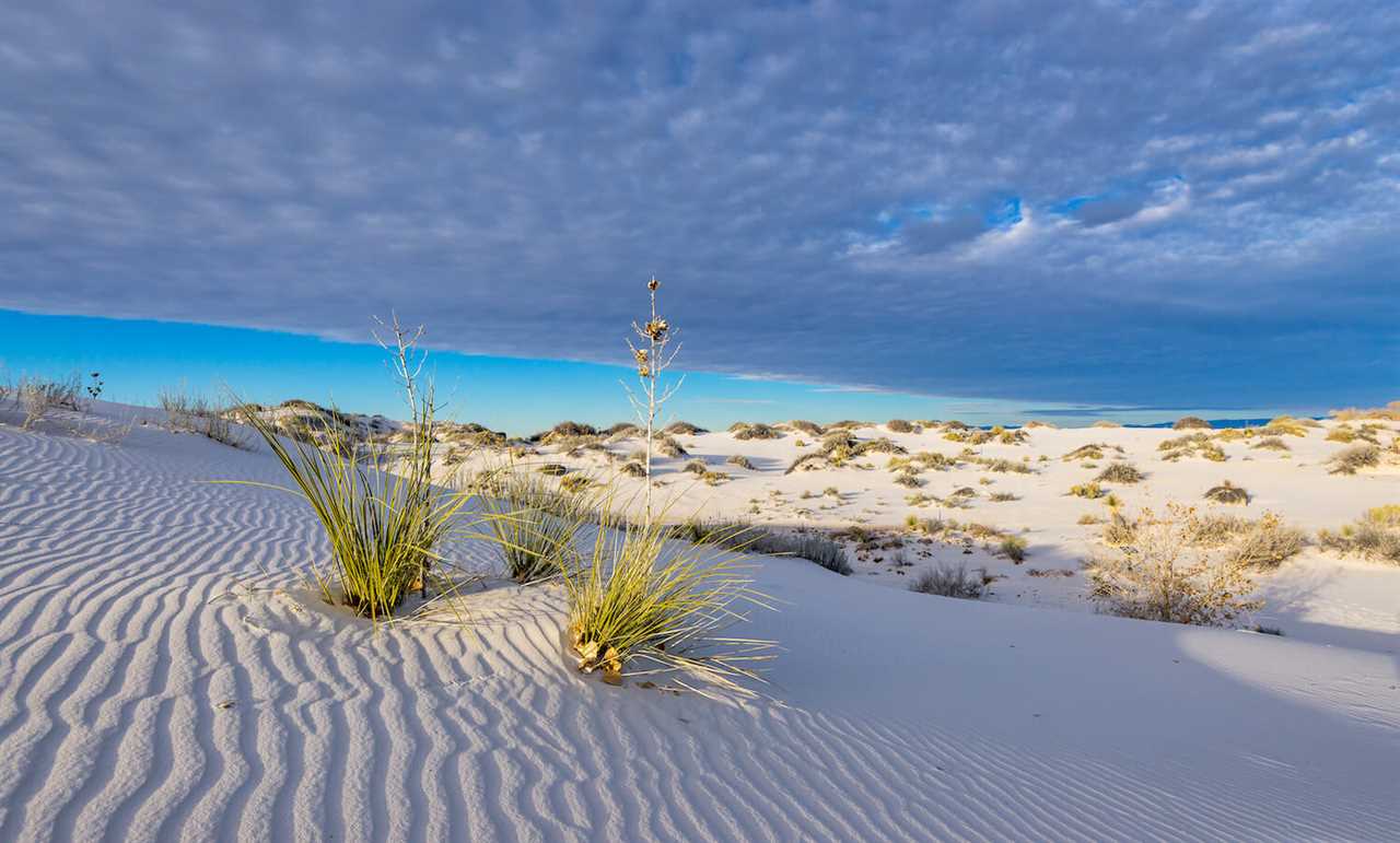 when-visit-guide-to-rving-white-sands-national-park-12-2022 