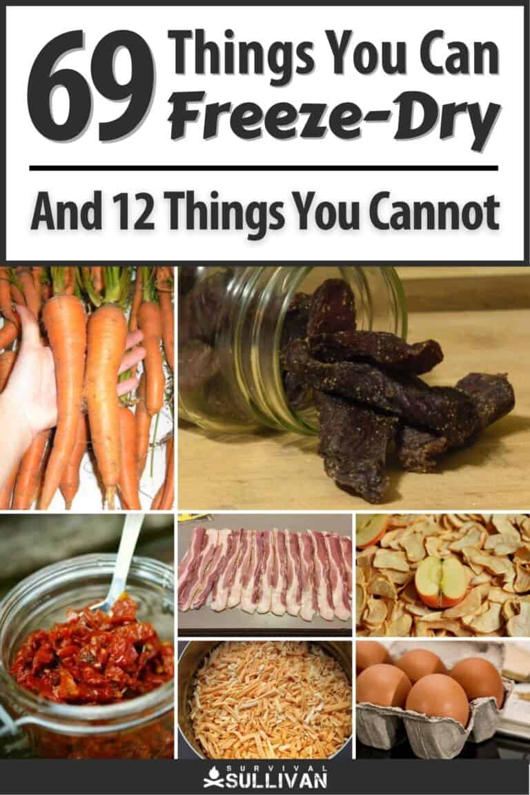 foods you can freeze-dry pinterest