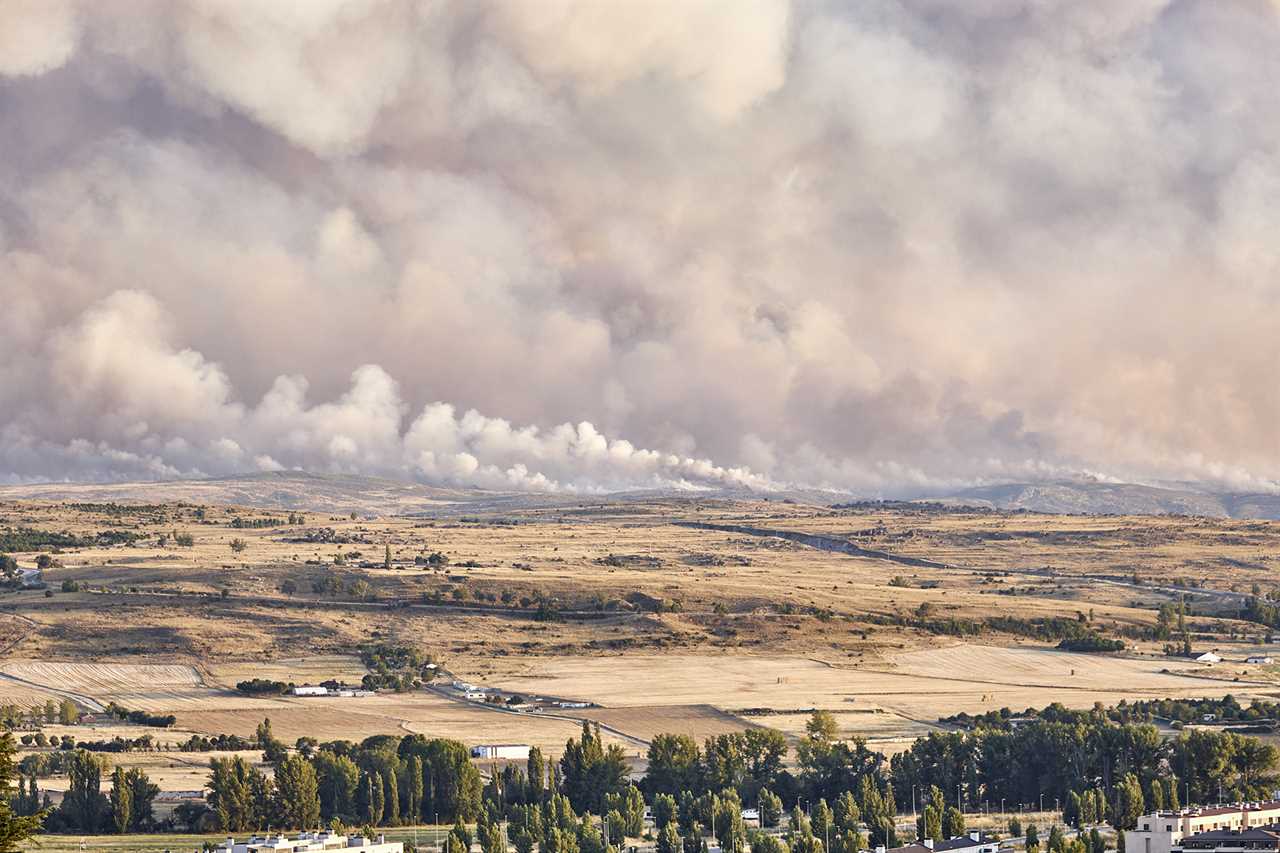 Photograph of a large forest fire with a large column of smoke on a hillside near a city. Natural disaster concept