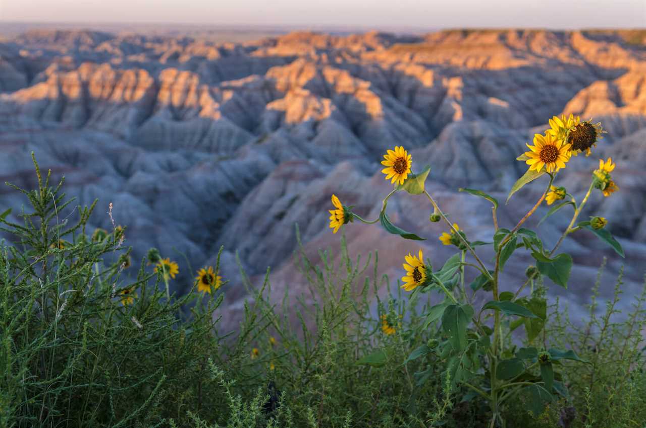 summer-guide-to-rving-theodore-roosevelt-national-park-12-2022 