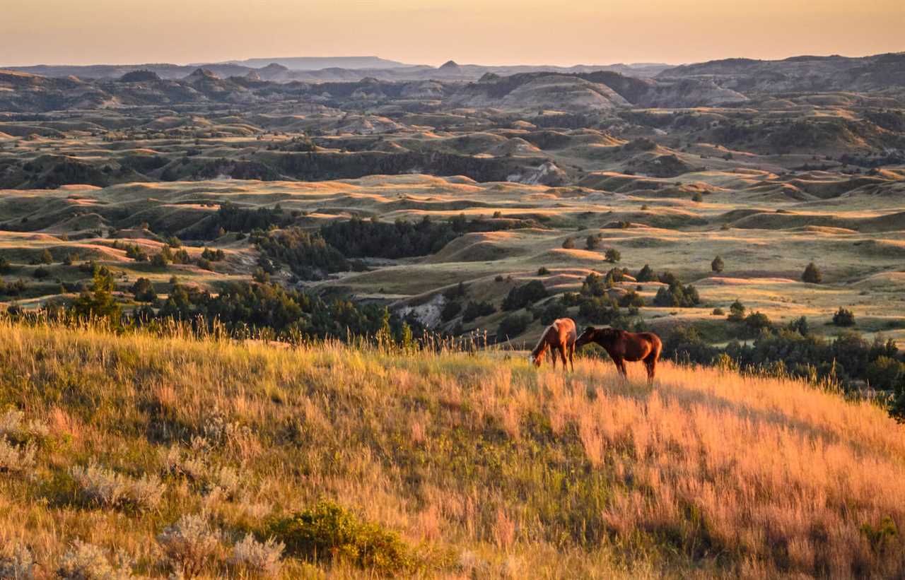 elkhorn-ranch-guide-to-rving-theodore-roosevelt-national-park-12-2022 