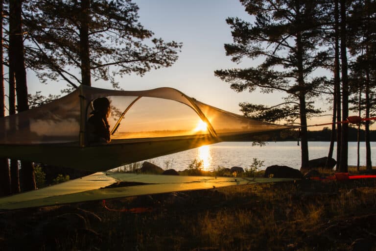 a tree tent