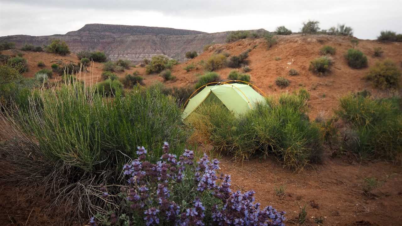 backpacking-guide-to-rving-zion-national-park-01-2023 