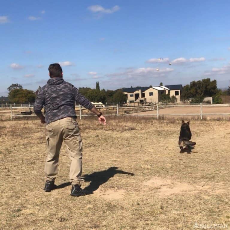 maintaining eye contact to target and follow through