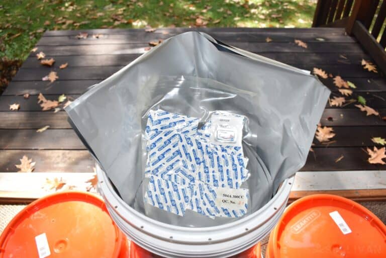 oxygen absorbers inside Mylar bag