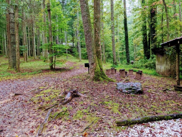 Saluda North Carolina park