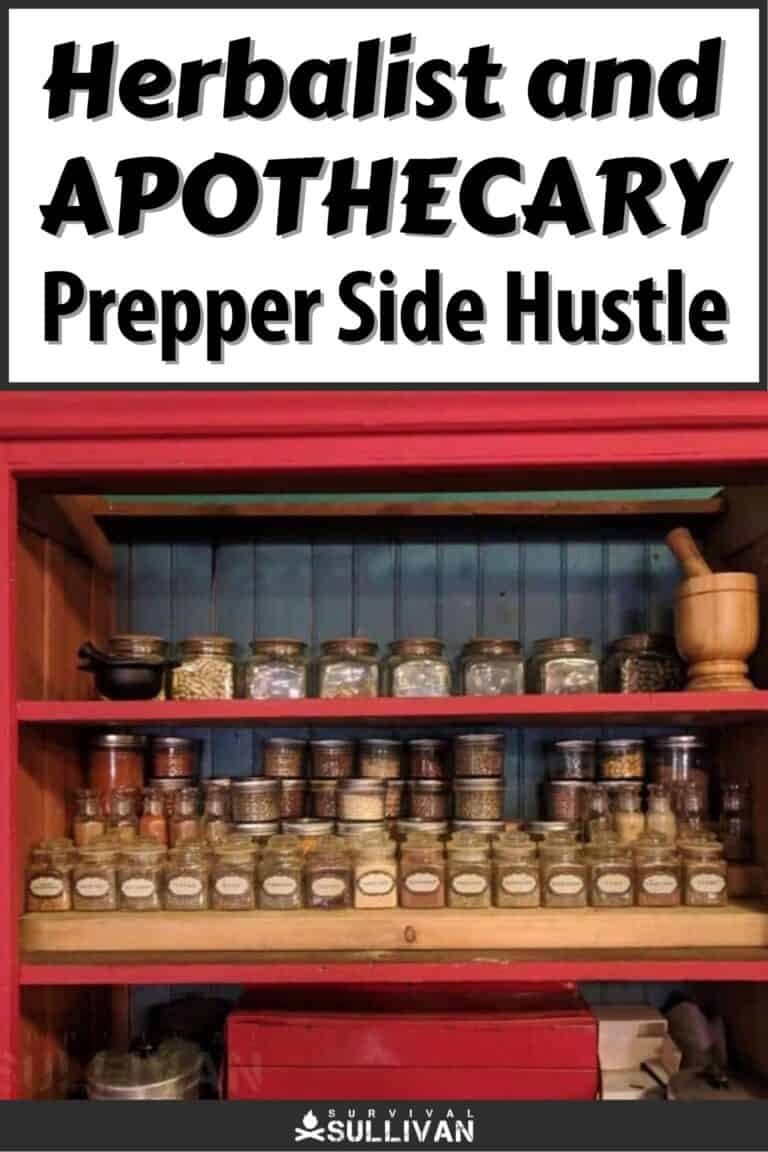 herbalist and apothecary prepper side hustle pinterest